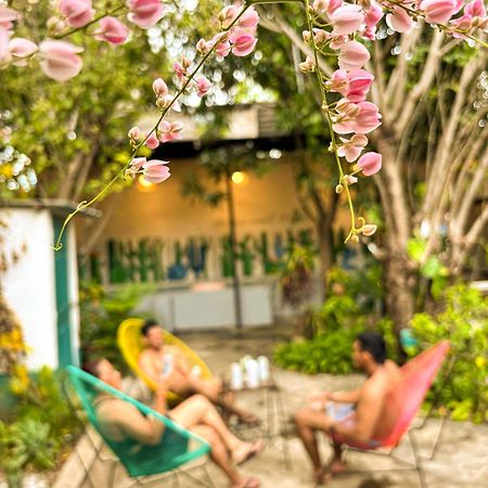 Hostal El Rio León Dış mekan fotoğraf